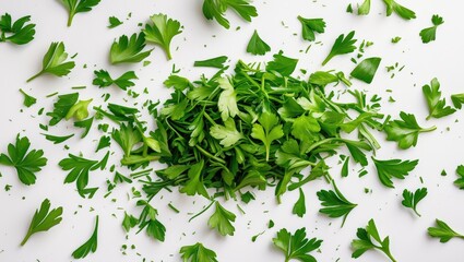 Aufkleber - Sliced green parsley herb on a white background, viewed from above.