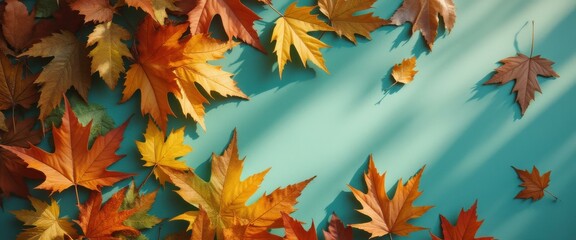 Poster - Autumn Leaves on Teal Background: Colorful Fall Foliage Creating Frame with Copy Space