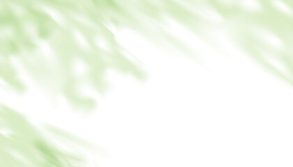 Poster - Green Leaves shadow silhouette,Abstract Branches leaves shadow reflection on wall,Tropical Leaf element for overlay on Mockup Product Presentation for Spring,Summer