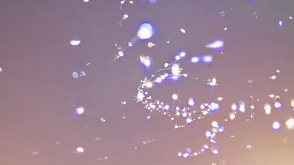 Poster - Luminous particles swirling gracefully across gradient backdrops, generating mesmerizing visual movement with vibrant energy and elegant shimmer