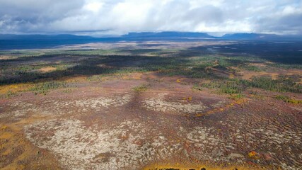 Wall Mural - scenic landscape of small pond in the middle of tundra in northern alaska