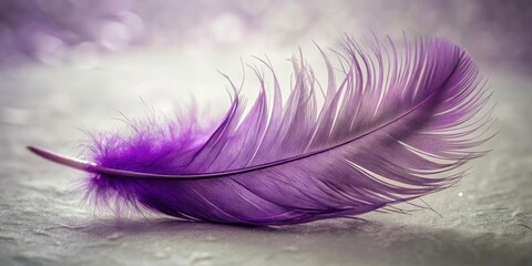 Wall Mural - A single, delicate purple feather rests gently on a soft, shimmering surface, its intricate details and subtle shadows creating a visually captivating image.