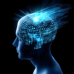 Poster - A digital representation of the human brain, illustrating the flow of data and information within cognitive processes.