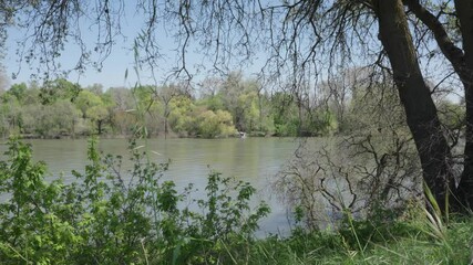 Wall Mural - Scenic footage of the green vegetation growing on the banks of a tranquil river on a clear sunny day