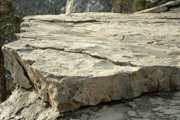 Poster - A large, flat, light-grey rock formation atop a cliff overlooking a forest.