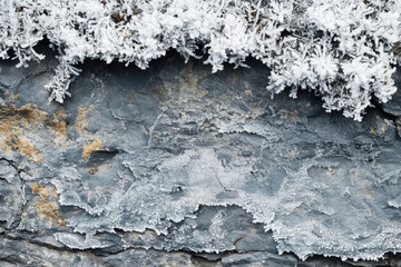 Poster - Frost-covered vegetation clings to a rugged, textured gray rock face.