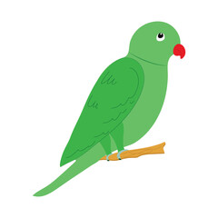 Wall Mural - color icon for parrot