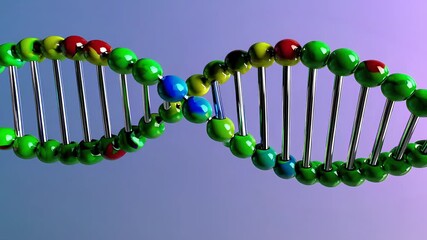 Poster - 3D Rotating DNA Helix Model with Colorful Beads and Metallic Strands