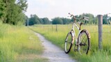 Rusty bike on a country path