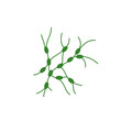 © 66soloria_ - Lymph node cancer icon. Lymphocytic neoplasm sign. Vector illustration.
