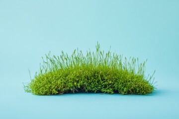 Aufkleber - Lush green moss with delicate blades against a light blue backdrop creating a calming visual contrast