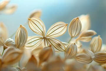 Aufkleber - Delicate floral structures captured in soft natural light during a serene morning