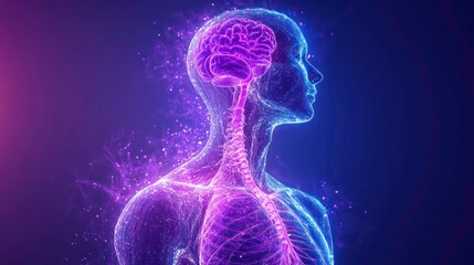 Poster - Female body anatomy illustration lymphatic system, organs. Visible lungs spine, skeletal structure. Visualization design evokes surreal concept of human body structure with light effects. Image