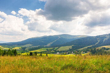 Wall Mural - mountainous carpathian countryside landscape. picturesque rural valley. grassy alpine meadow under b