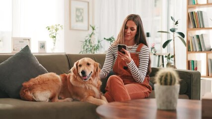 Fototapete - Woman, phone and dog on couch in home with smile, stroke and care with texting, chat and relax in lounge. Girl, smartphone and golden retriever with mobile app, happy and social network at apartment
