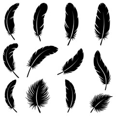 Wall Mural - feathers icons. black silhouettes of various feathers isolated on white background. vector illustrat