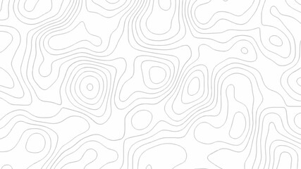 Poster - Abstract topographic contours map background. vector geographic contour map. Geographic mountain terrain map contours patterns.