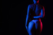 © Pixel-Shot - Silhouette of attractive woman on dark background, back view