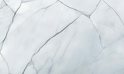 Poster - A sophisticated light marble background features an elegant pattern of dark and light veins running across the surface.
