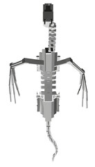 Poster - A skeletonized dragon is drawn in black and white. The skeletonized dragon is a representation of a creature that has been transformed into a skeleton. Concept of mystery and intrigue