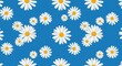 © MrTit - Daisies Dance On Azure Azure Blooms Summertime Daisies A Field Of Dreams White On Blue Floral Symphony Daisy Daydream Blue Sky Daisies Floating Daisies Happy Daisies AI Generated
