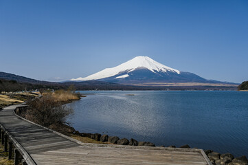 Poster - 山梨県の山中湖と富士山