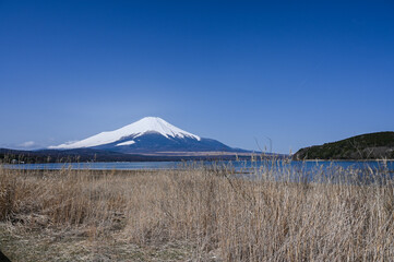 Poster - 山梨県の山中湖と富士山