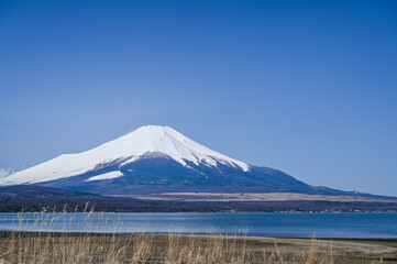 Poster - 山梨県の山中湖と富士山