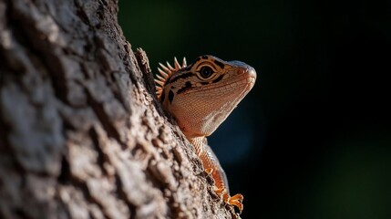 Poster - Close-up of an orange and brown lizard peeking from behind a textured tree bark against a dark background. The lizard's details are sharp, while the background is blurred, creating depth of field