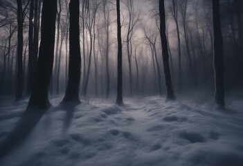 Wall Mural - background forest dark view night moonlight abstract magic floor winter wooden fog snow cloud blue e