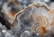 © sandra - slice light mineral crystal background natural cross surface abstract banded gray agate structure section translucent stone macro closeup amazing luster healing beautiful inside colours layer