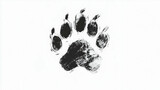 paw print drawing illustration
