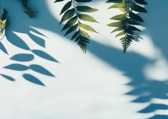 Poster - Botanical Minimalism Ethereal Fern Shadow Play in Blue - Biophilic Design Trend for Wellness Branding and Creative Digital Content