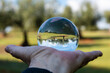 © Kuki LadrondeGuevara - Árboles reflejados en una bola de cristal en el campo