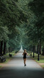 © TP71 - Fit woman jogging alone on a tree-lined park path on a peaceful summer morning.