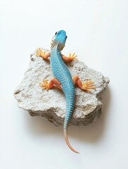Aufkleber - Colorful lizard perched on textured rock against a white background with subtle drop shadow capturing intricate details