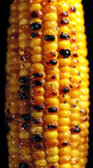 Fototapete - Close-up of grilled corn cob, showing yellow kernels with some charred brown spots, showcasing texture and detail of a summer food