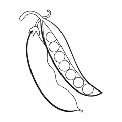 Aufkleber - Peas Coloring Book Page – Line Art Outline Drawing of Pea Pods and Seeds for Botanical Illustration