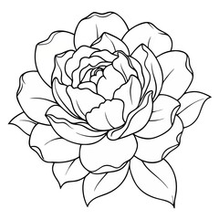Aufkleber - Peony Flower Coloring Book Page – Line Art Botanical Drawing for Floral Illustration