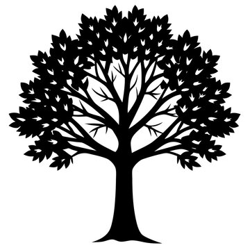 Tree silhouette vector illustration