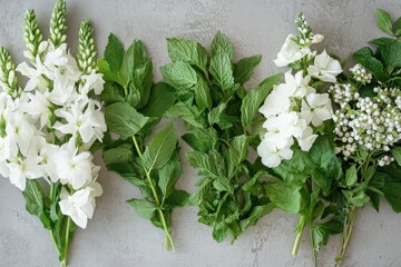 Poster - Fresh herbs and white flowers arranged neatly on a grey surface for culinary and decorative use