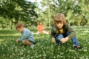 Wall Mural - Full length scene with two young boys picking flowers on clover field in forest with mother in background