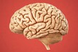 © AI04 - On a vibrant red background, a detailed 3D model of the human brain is displayed