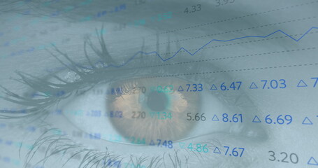 Poster - Image of financial data processing over woman's eye in background