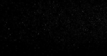 Wall Mural - Natural Organic Dust Particles Floating On Black Background. Dynamic Dust Particles Randomly Float In Space. Shimmering Glittering Dust Particles With Bokeh. Slow motion on Black Background.