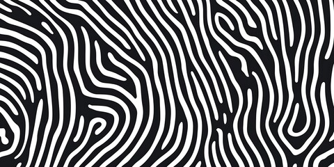 Poster - 
Abstract black and white wave squiggle doodle fingerprint style maze pattern background banner. Black and white abstract textured background. Fingerprint Pattern background