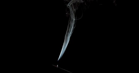 Wall Mural - Real smoke on a black background. Thin Flexible Trickle of Real Smoke. Colorful real smoke rises up. Ideal for background or over-layer with blending mode add, screen, lighten.