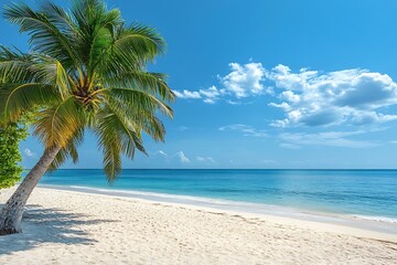Fototapete - Tropical Beach with Palm Tree Turquoise Water and Blue Sky Scenic Ocean View Coastal Paradise : Generative AI