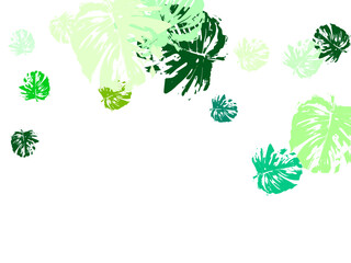 Wall Mural - set of green leaves
