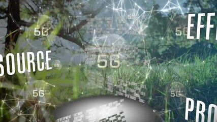 Poster - Network connections and data processing animation over natural landscape with grass